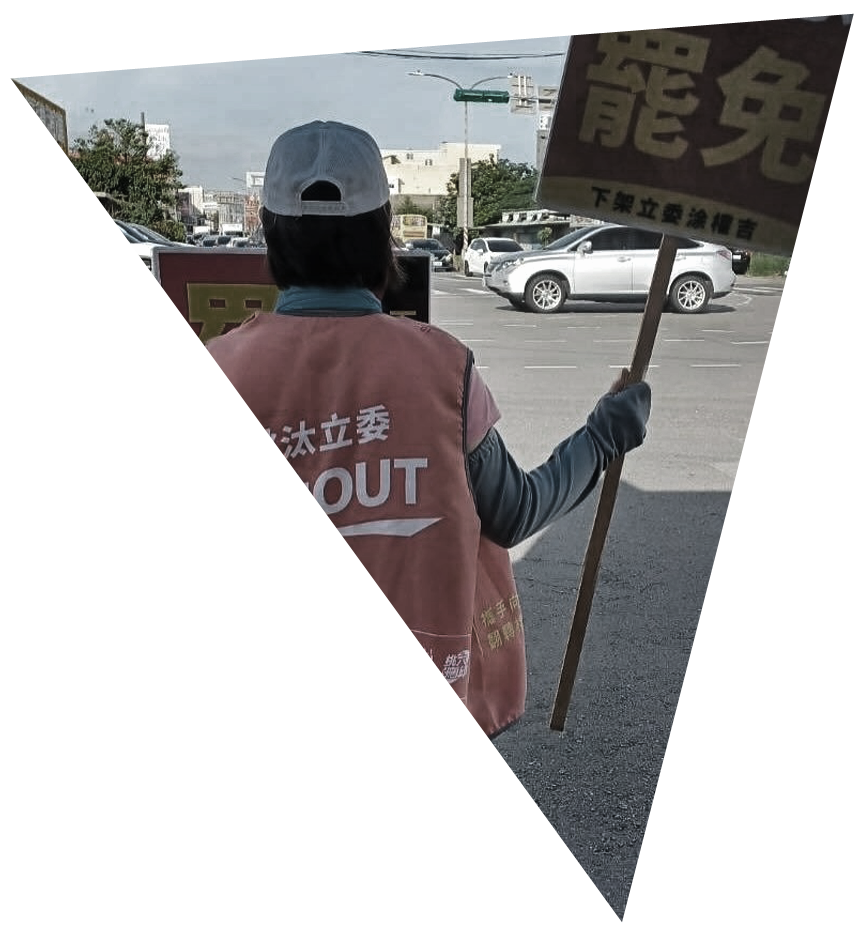 大罷免導言示意圖